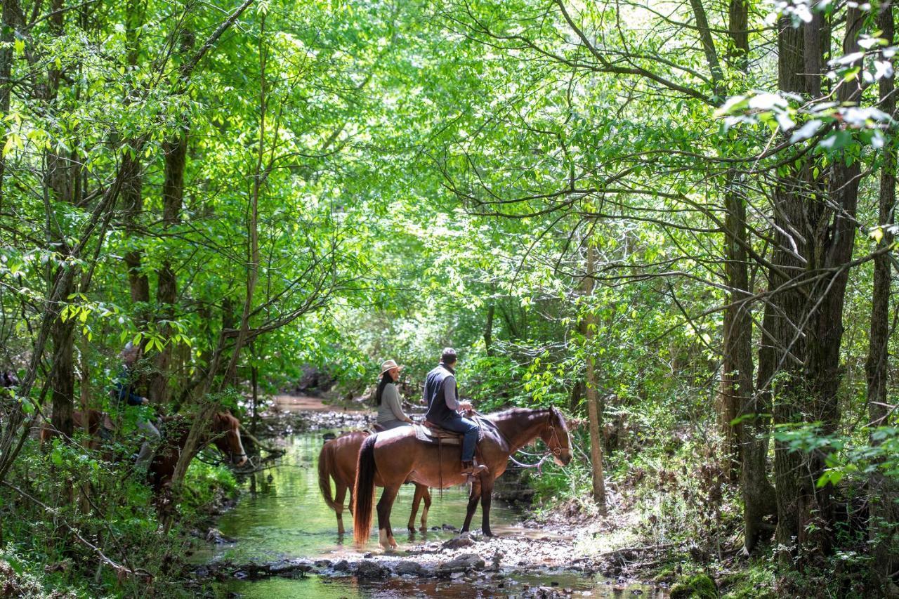 Barnsley Resort Adairsville Dış mekan fotoğraf