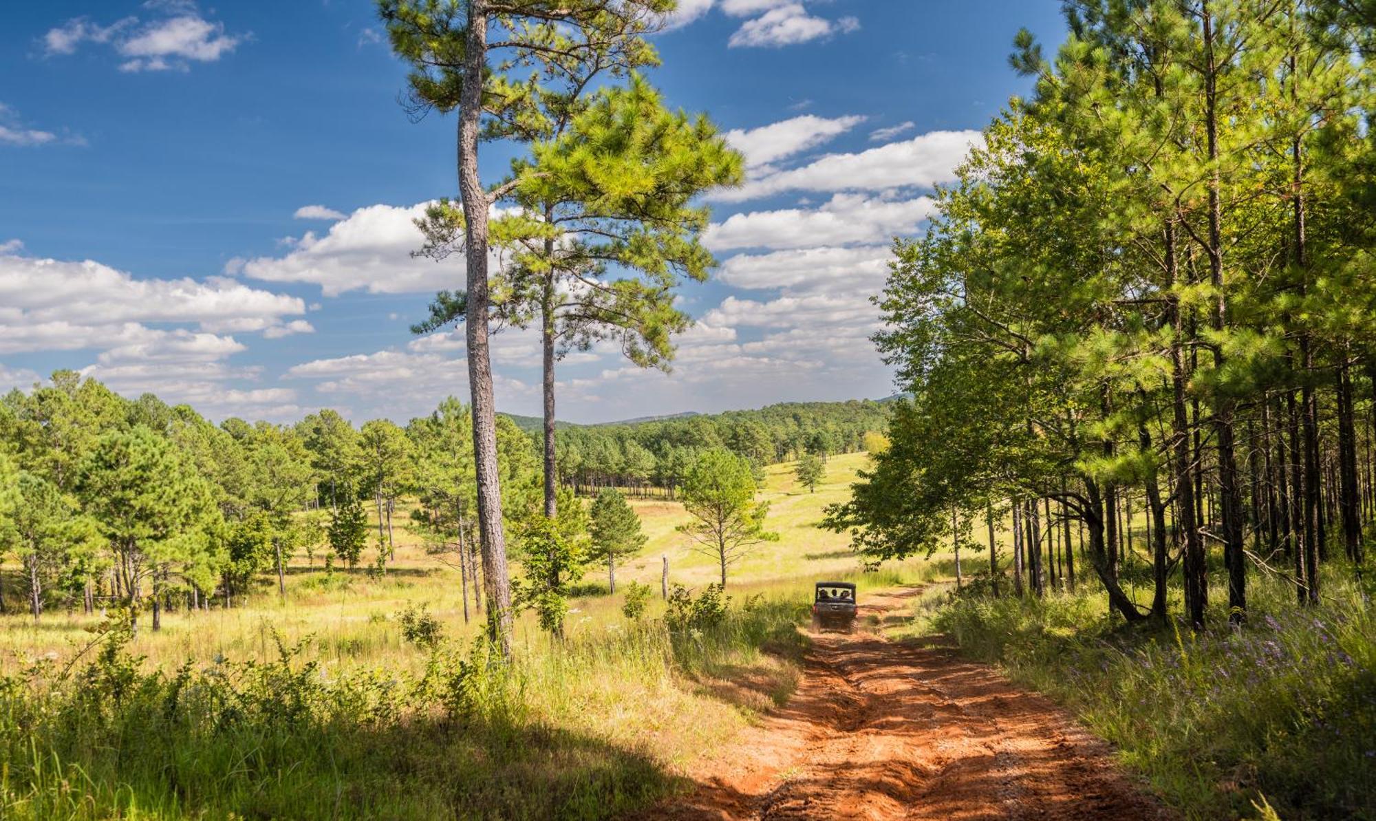 Barnsley Resort Adairsville Dış mekan fotoğraf